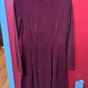 Long Sleeve Dress with Sparkles